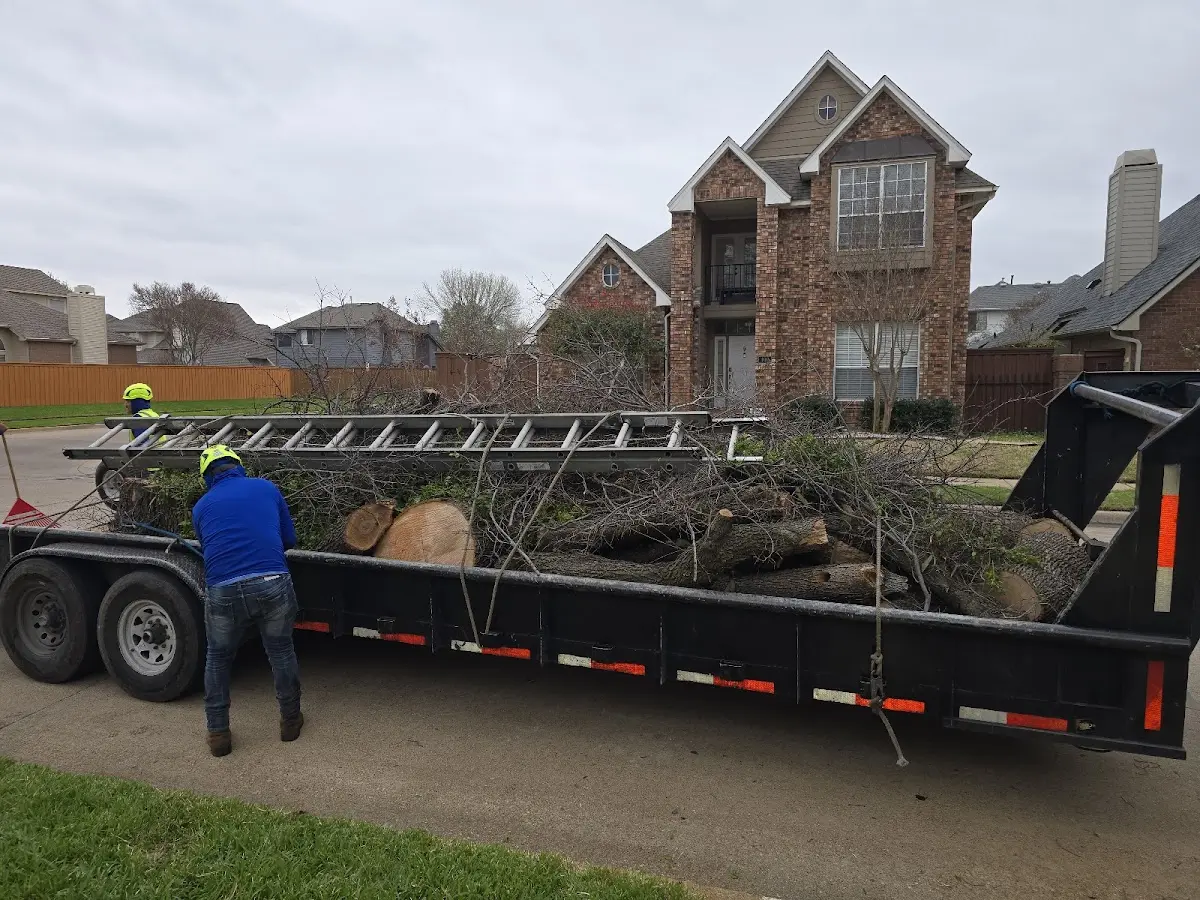Expert Lot Clearing with proper safety equipment in Cambridge